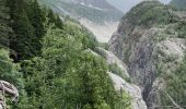 Trail Walking Chamonix-Mont-Blanc - Chamonix : Les Bois - le chapeau  - Photo 14