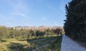 Tour Wandern Mouriès - Les Castellas des Baux - Photo 1