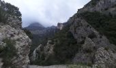 Trail Walking Gémenos - du vallon de la fauge à la glacière par Christian  - Photo 1