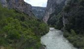 Trail Walking La Palud-sur-Verdon - Sentier Blanc Martel - Photo 14