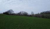 Randonnée Marche Dalhem - dalhem 4 - Photo 5