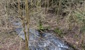 Trail Walking Tenneville - Champlon-forêt  - Photo 6