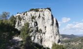 Trail Walking Ollioules - Le Croupatier - Photo 12