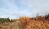 Trail Walking Theux - autour de bronromme et monthouet  - Photo 7