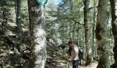 Tour Wandern Lepuix - 2020 08 06 Ballon d'Alsace - Photo 1