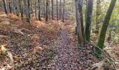 Trail Walking Vendôme - Forêt de Vendôme - Bois de l'Oratoire - Photo 16