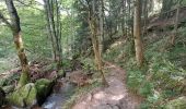 Excursión Senderismo Le Valtin - VOSGES 2023 - Sentier des Roches - Photo 16