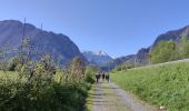 Trail On foot Bedous - BEDOUS les chemins du gaves G4  