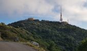 Randonnée Trail La Seyne-sur-Mer - fabregas, notre dame de mai par la DFCI 909, puis plage de fabregas  - Photo 2