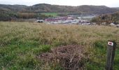 Tour Wandern Trooz - FORÊT VILLAGE  - Photo 19