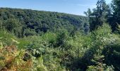 Excursión Senderismo Bertrix - Auby sur Semois 020922 - Photo 20