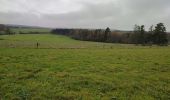 Tour Wandern Saint-Hubert - Awenne (Saint-Hubert)  - Photo 8