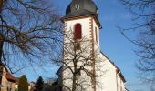 Tour Zu Fuß Zellertal - Zellertalweg Harxheim - Photo 3