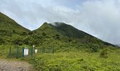 Randonnée  Saint-Claude - Soufrière  - Photo 6