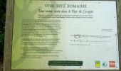 Trail Walking Teyssode - naudet - Photo 1