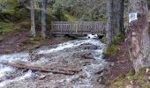 Tour Wandern Les Adrets - RANDONNEE A PRAPOUTEL  - Photo 19