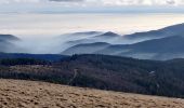 Tocht Stappen Sondernach - 2020-01-02 Marche Landersen Petit Ballon - Photo 3