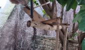 Trail Walking Forcalquier - forcalquier,les mourres - Photo 15