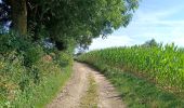 Tour Wandern Olne - Du plateau à la vallée. Olne - Photo 14