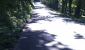 Percorso A piedi Sconosciuto - Wanderweg Königstuhl 9 nach Heidelberg - Photo 6