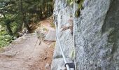 Trail Walking Le Valtin - Col de la Schlucht - sentier des Roches - Petit Honneck - Honneck - Trois Fours - Photo 12