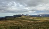 Excursión Senderismo Omblèze - Divagations sur le plateau d'Ambel - Photo 2