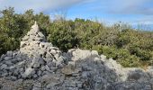 Percorso Marcia Signes - Plateau de la Limate en partant de Siou Blanc - Photo 11