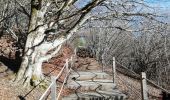 Trail Walking Orcines - Goules Pariou Fontaine du Berger - Photo 6