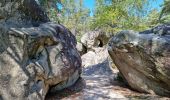 Tocht Stappen Fontainebleau - Fontainebleau sentier Denecourt Colinet 4 - Photo 19