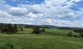 Trail Walking Chanaleilles - COMPOSTELLE J4 - Photo 2