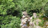 Trail Walking Pont de Montvert - Sud Mont Lozère - Pont de Montvert / Pont du Tarn  - Photo 1