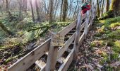 Tour Wandern Lapleau - viaduc rochers noirs - Photo 2