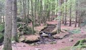 Tour Wandern Mittlach - VOSGES 2023 - MITTLACH - Vallée de la Wormsa - Photo 5