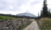 Trail Walking Saint-Agnan-en-Vercors - Aiguillette ou Petit Veymont par la Coche - Grande Cabane - Photo 9