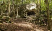 Excursión A pie Neukirchen bei Sulzbach-Rosenberg - Rundwanderweg No.2 Neukirchen - Photo 9