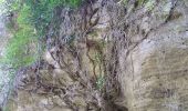 Trail Walking Buoux - Buoux aiguebrun Sivergues baume de l'eau  - Photo 2