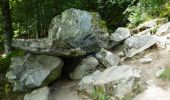 Trail On foot Besse-et-Saint-Anastaise - Le puy de Montchal et le Lac Pavin - Photo 4