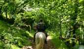 Trail Horseback riding Gerbamont - 2022-06-05 Rando CVA Gerbamont Dommartin les Remiremont - Photo 4