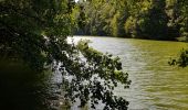 Randonnée Marche Lac de la Haute-Sûre - Bavigne - Photo 16