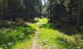 Tocht Elektrische fiets La Bresse - grouvelin - Photo 5