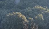 Trail Walking Lirac - Le Tanargue - Photo 1