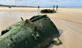 Trail Walking Escalles -  Cap Blanc Nez-Wissant-mont de Couple 25 km - Photo 16