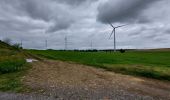 Randonnée Marche Messancy - Marches d'été 2021. Hondelange - Photo 1