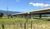 Percorso A piedi Rovray - Chemin du Vallon des Vaux - Photo 10