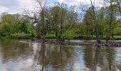 Tocht Stappen Esneux - entre Mery et bois Manant - Photo 2