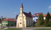 Tour Zu Fuß Popovice - CZ-Turistický okruh Bukovina - Photo 6