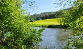 Trail Walking Bouillon - Botassart 240523 - Photo 9