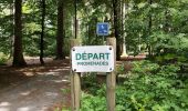 Trail Walking Vielsalm - Forêt domaniale du Grand-Bois - Photo 1
