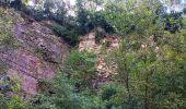 Trail Walking Comblain-au-Pont - poulseur . chanxhe . fays . monfort . poulseur - Photo 14