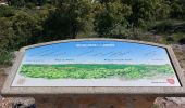 Trail Walking Moissac-Bellevue - Moissac Bellevue - chapelle Notre Dame de la Roc - Photo 2